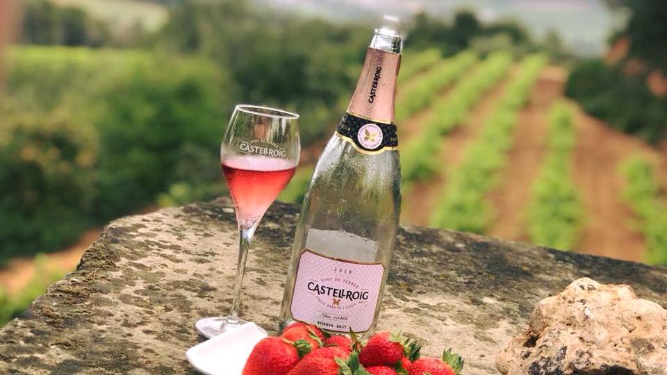 castellroig_rosat